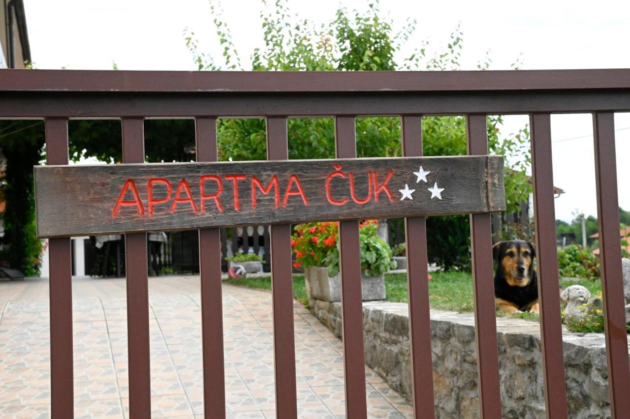 Apartma Cuk Dutovlje Exterior foto